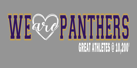 We Are Panthers