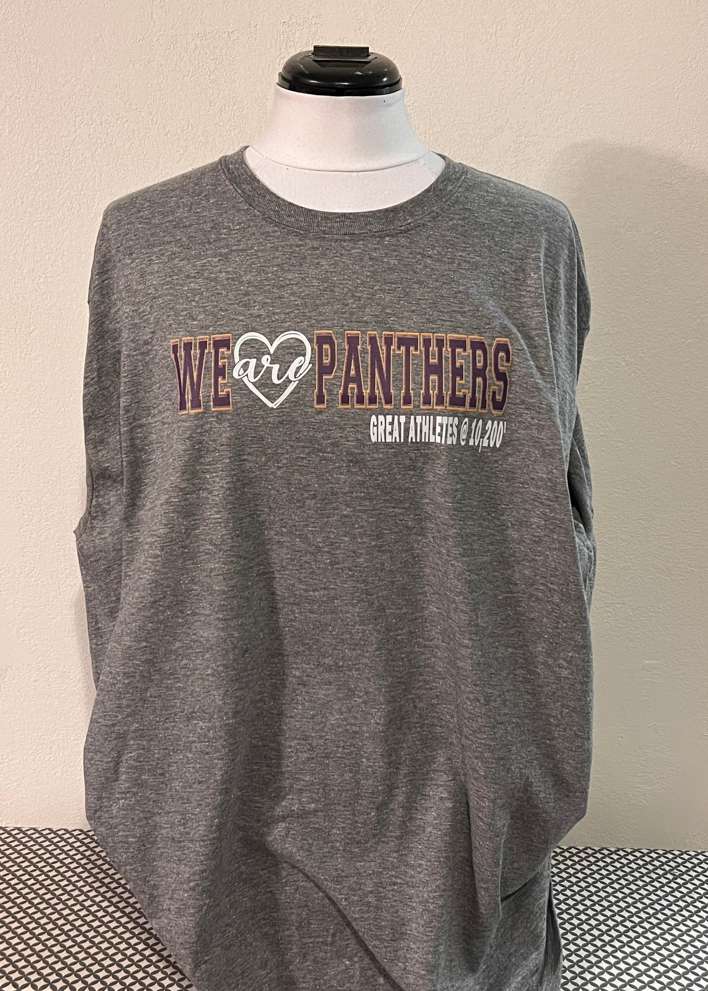 We Are Panthers