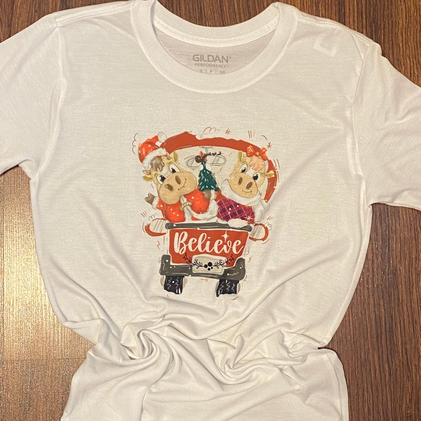 Believe T-Shirt - Adult Small