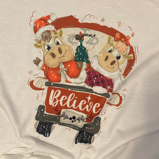 Believe T-Shirt - Adult Small